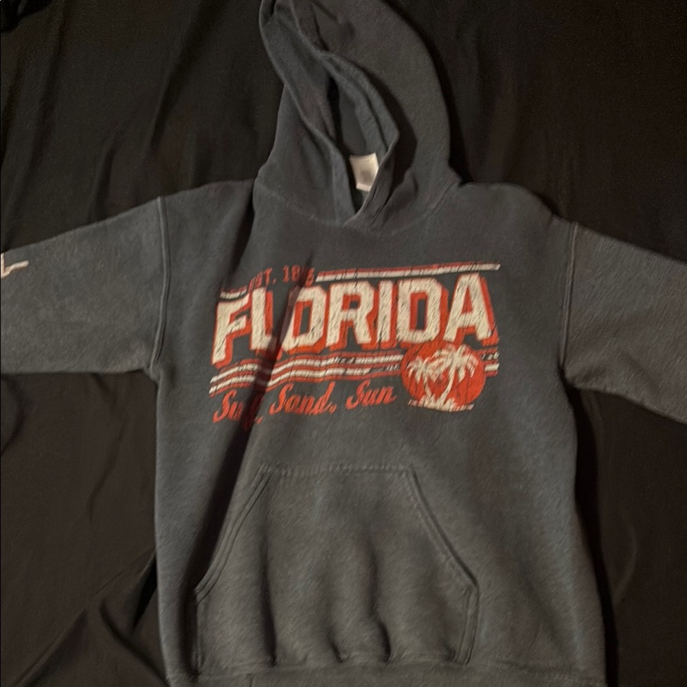 Gildan Gray Florida Hoodie